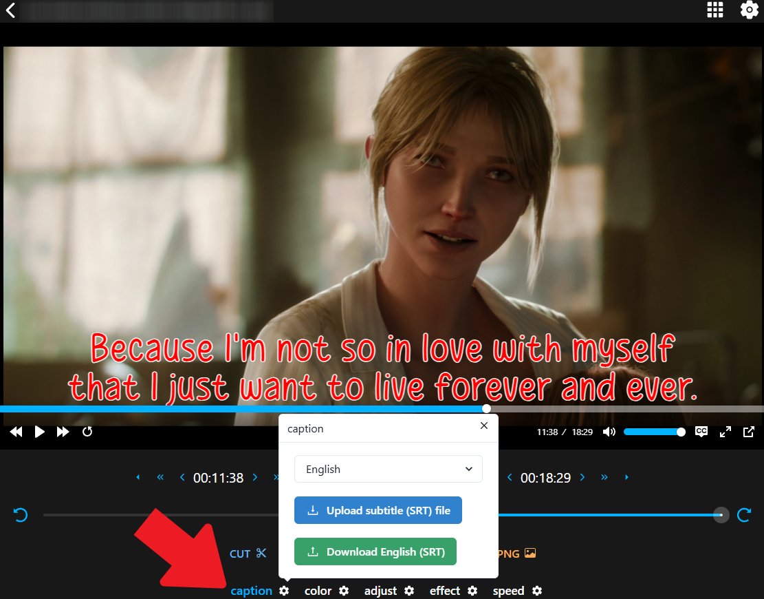 How to harcore a video sub